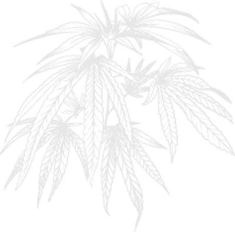 fr-leaf