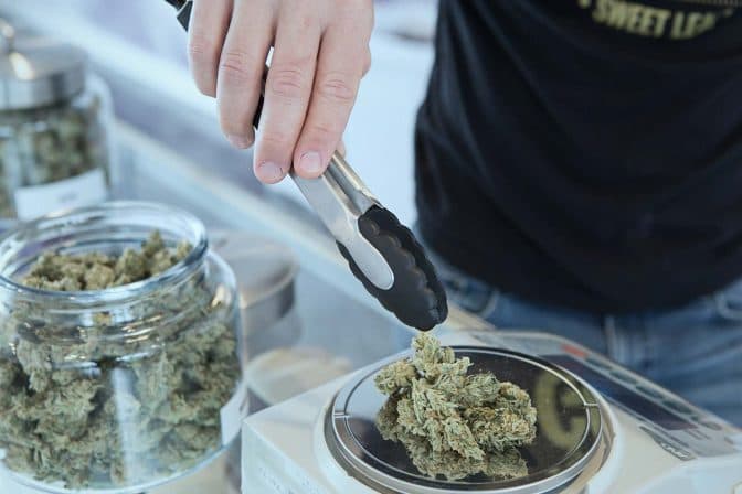 Weighing Cannabis1