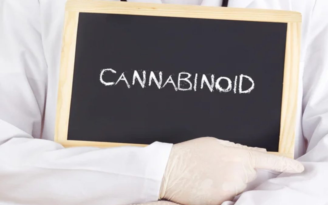 What is a Cannabinoid? – All You Need to Know