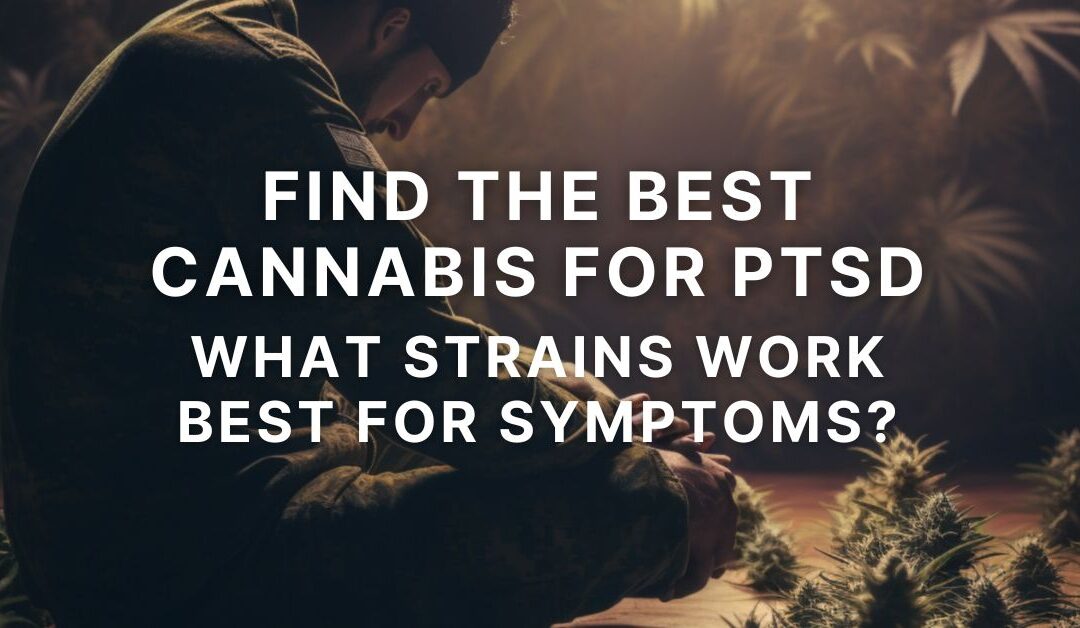 Find The Best Cannabis For PTSD: What Strains Work Best For Symptoms?